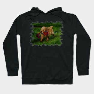 Puppy Love Hoodie